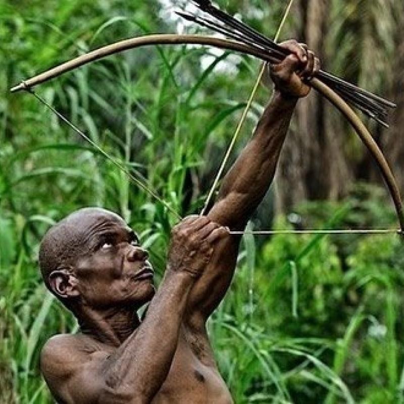 pygmées mbuti